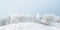 Panoramic winter view with snow of the Dutch Posbank in national