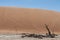 Panoramica of death vley in the desert of Namibia. Sossusvlei.