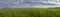 Panorarmic view of infinity green fields at rainy cloudy day