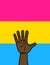 Pansexual Flag Racial Equality Rights