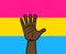 Pansexual Flag Racial Equality Rights