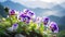 Pansies Growing In The Mountains: A Captivating Swiss-style National Geographic Photo