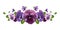 Pansies. Purple and yellow flowers. Horizontal banner. Watercolor illustration on isolated white background.