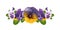 Pansies. Purple and yellow flowers. Horizontal banner. Watercolor illustration on isolated white background.