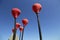 Panske, Ukraine - August 15, 2021: Modern art objects, poppy flower shaped street lights at bus stop with a viewpoint, located on