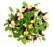 Pansy bouquet. violet and yellow spring flowers