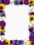 Pansy Flower Frame, Polka Dot Background