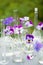 Pansy flowers in chemical glassware, table decoration in garden