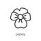 Pansy icon. Trendy modern flat linear vector Pansy icon on white