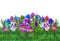 Pansy violet flowers and green grass watercolor landscape illustration floral wallpaper