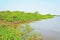 Pantanal landscape with the river and green vegetation around
