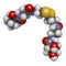 Pantethine (dimeric vitamin B5) molecule. 3D rendering.  Used in dietary supplements. Atoms are represented as spheres with