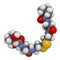Pantethine (dimeric vitamin B5) molecule. 3D rendering.  Used in dietary supplements. Atoms are represented as spheres with