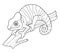 Panther Chameleon Cartoon Animal Illustration BW