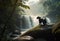 Panther close-up, photography of a Panther in a forest front of waterfall. A black jaguar walking through a jungle stream with