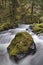 Panther Creek Falls in Washington State