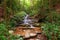 Panther Falls, Rabun County, Georgia on the Tallulah River