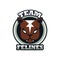 Panther head animal emblem icon with team felines lettering