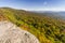 Panther Mountain from Giant Ledge