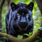 The panther prowls as a symbol of our inner struggles, its brilliant darkness embodying fears.
