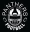 Panthers Football One Color - White