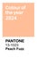 Pantone Pantone Peach Trending Color of the Year 2024. Color pattern, vector illustration