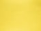 Pantone trend color of the Year 2021 Illuminating yellow. Texture Leather Bumpy Pattern Copy Space Design template