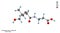 Pantothenic acid or Vitamin-B5 C9H17NO5 Molecular Structure Diagram