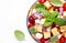 Panzanella italian vegetable salad with stale bread, colorful tomatoes, mozzarella cheese, onion, olive oil, salt and green basil