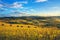 Panzano in Chianti vineyard and panorama at sunset. Tuscany, Italy