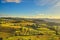 Panzano in Chianti vineyard and panorama at sunset. Tuscany, Italy