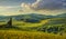 Panzano in Chianti vineyard and panorama at sunset. Tuscany, Italy