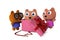 Papa Bear and Mama Bear opened gift boxes, see Baby Bear,3D rend