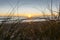 Papamoa beach through dune vegetation at sunrise