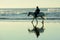 Papamoa Beach, Papamoa, New Zealand Ã¢â‚¬â€œ July 07, 2019: an unidentified woman on a white horse at a seashore.