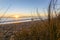 Papamoa beach, thorugh the marram looking into sunrise