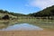 Papandayan Lake with Edelweiss flower bakcground