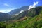 Papandayan mountain morning View Green