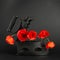 Papaver rhoeas flowers with 1920s charcoal iron box. Poppies bloom on retro black background. Antique against fresh nature.