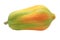 Papaya colorfull