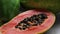 Papaya fruit closeup, sliced fresh papaya fruit with seeds