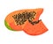Papaya Fruit Pieces with Orange Pulp and Black Seeds Vector Illustration