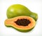 Papaya fruit. Vector icon