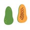 Papaya fruit in white background. simple vector for kids wallpaper, sticker, label.