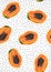 Papaya fruits seamless pattern on white background with seed, Fresh organic food, Tropical fruit vector