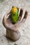 Papaya, hand, slice, tropical fruit, sea, sand