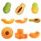 Papaya icons set, cartoon style