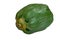Papaya or pawpaw fruit is mature. Papaya fruit is green. It`s tropical fruit plant. Somtam is popular food in Thailand, Asia.