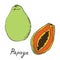 Papaya and sliced piece