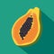 Papaya tropical fruit icon